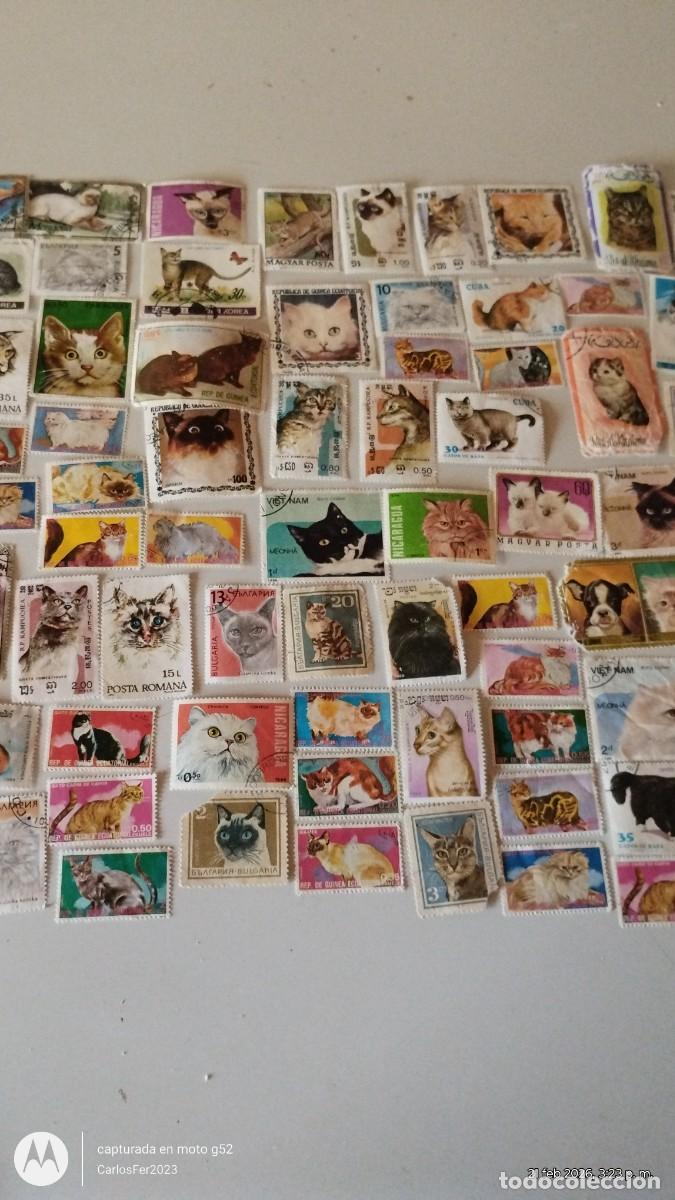 Postales: Lote completo de estampillas - Foto 2