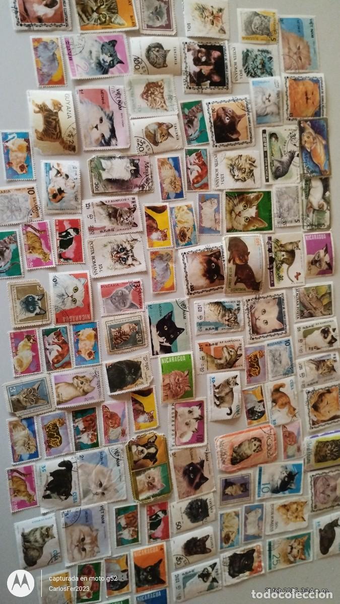 Postales: Lote completo de estampillas - Foto 4
