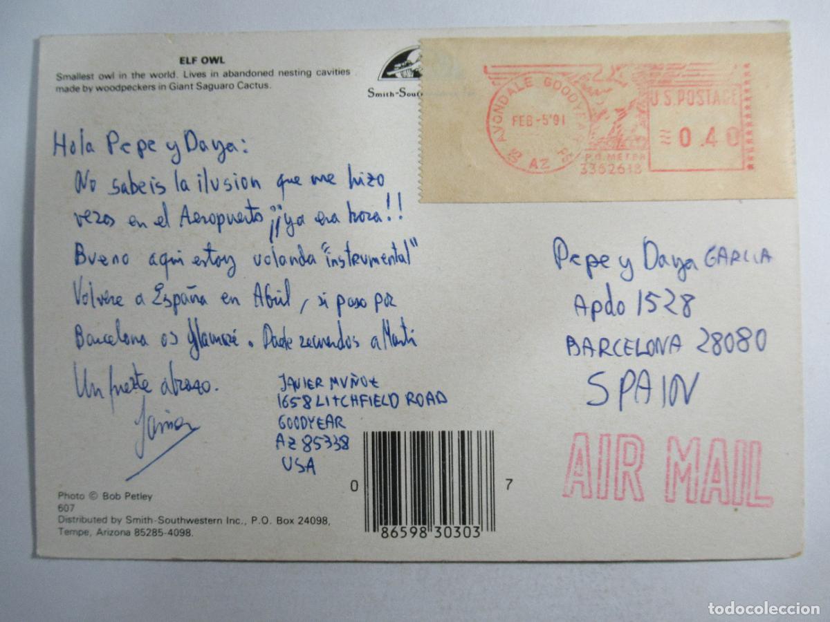 Postales: Elf Owl - Buho Elfo - Circulada - Foto 2