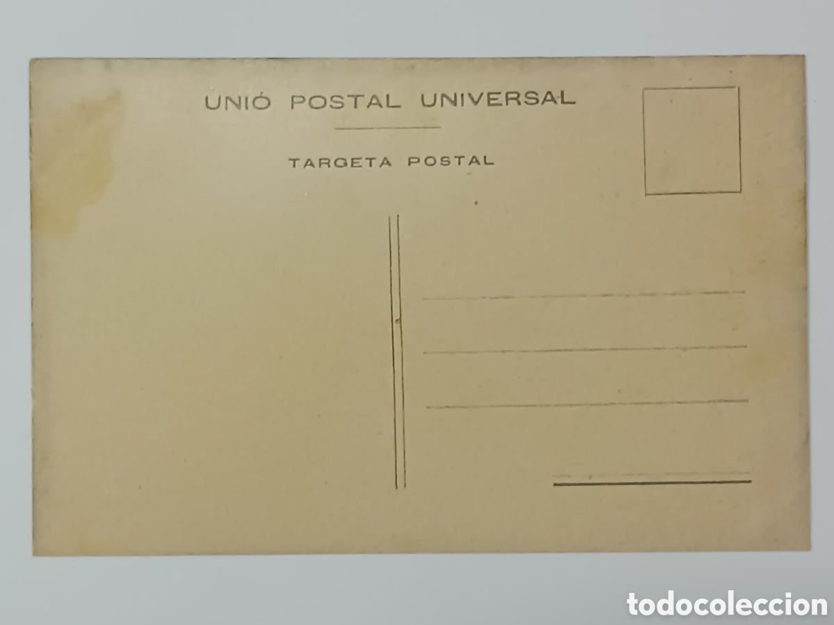 Postales: UNI&Oacute; POSTAL UNIVERSAL. CEBRA - Foto 2