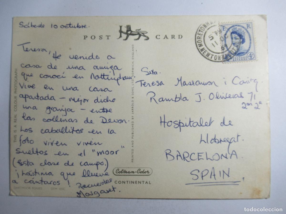 Postales: Postal Caballos - Circulada - Foto 2