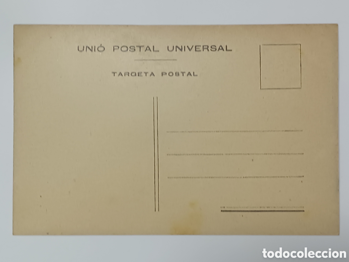 Postales: UNI&Oacute; POSTAL UNIVERSAL. TIGRE REYAL - Foto 2