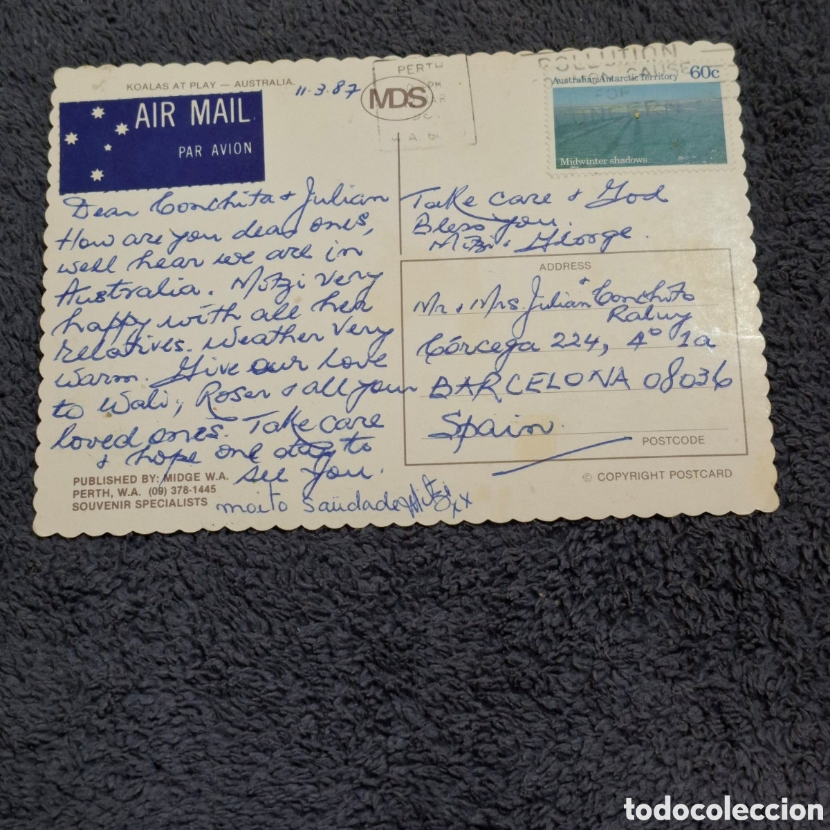 Postales: P8. Koalas Jugando, Australia, Circulada. - Foto 2