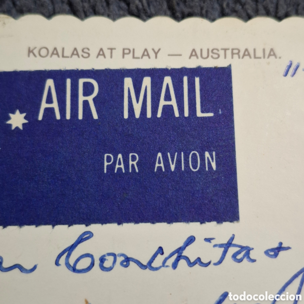 Postales: P8. Koalas Jugando, Australia, Circulada. - Foto 4