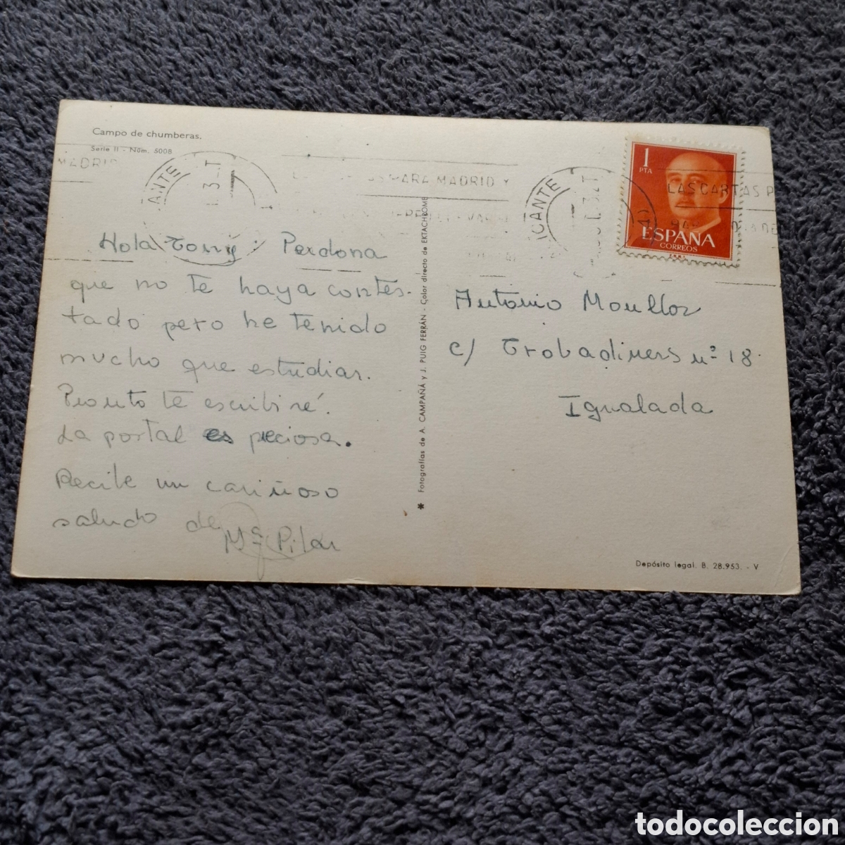 Postales: P8. Burro, Entre Chumberas, Circulada. - Foto 2