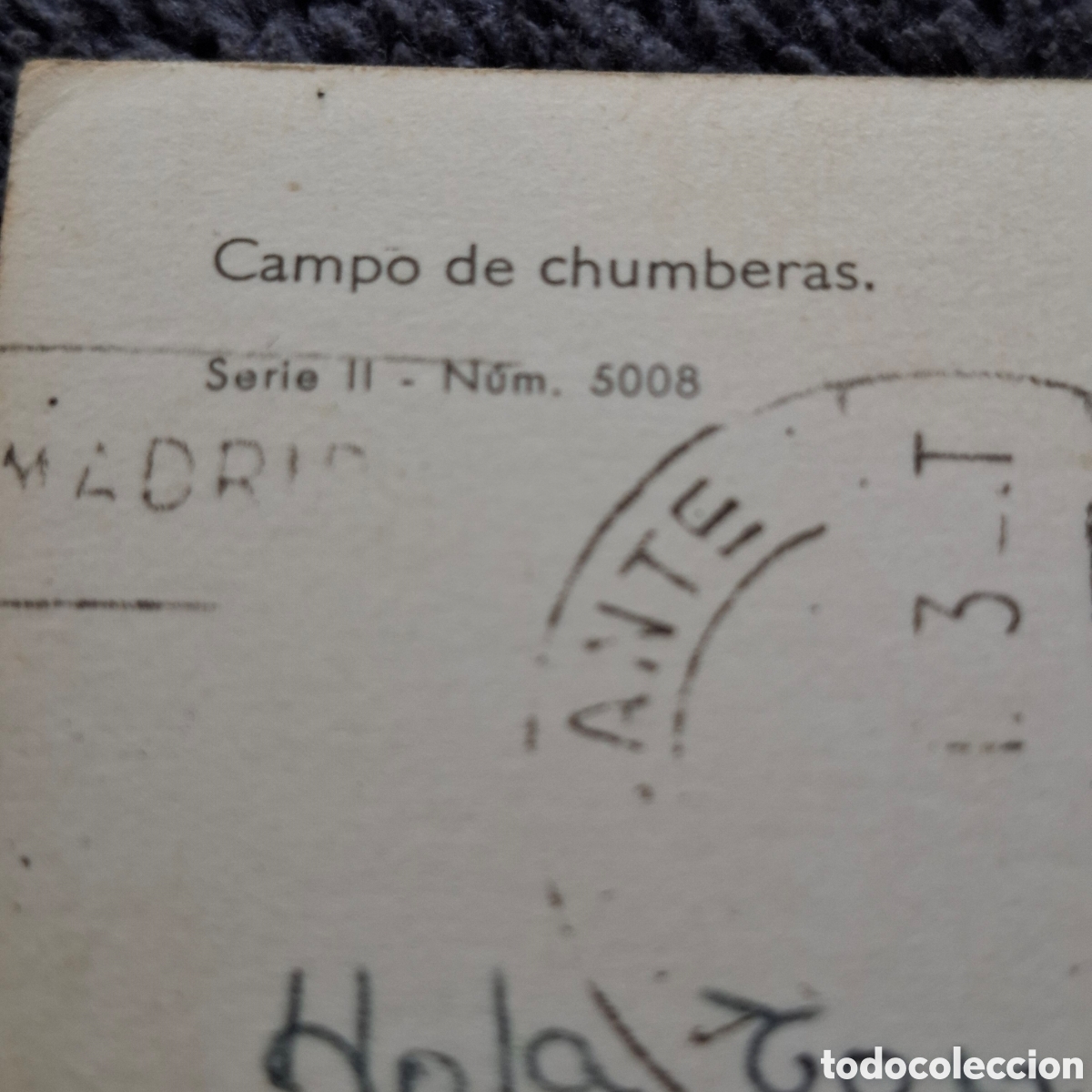 Postales: P8. Burro, Entre Chumberas, Circulada. - Foto 3