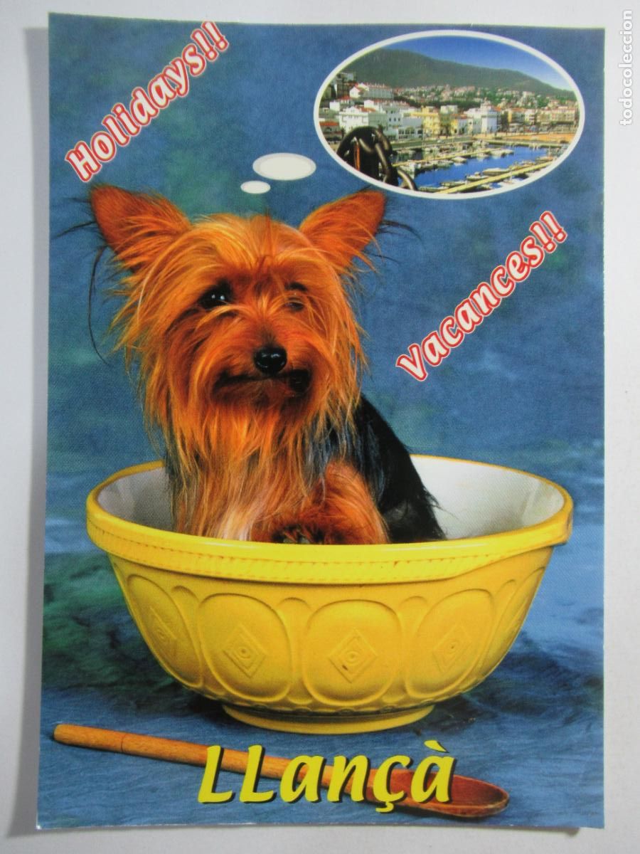 Postales: Llan&ccedil;&agrave; (Girona) - Perrito - S/C - Foto 1