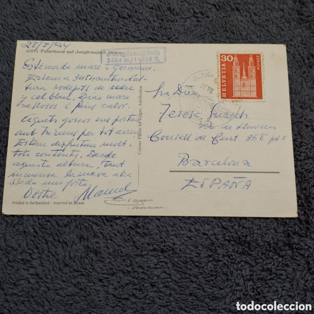 Postales: P8. Perro Polar, Circulada En 1964. - Foto 2
