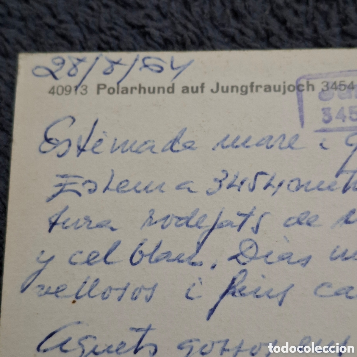 Postales: P8. Perro Polar, Circulada En 1964. - Foto 3
