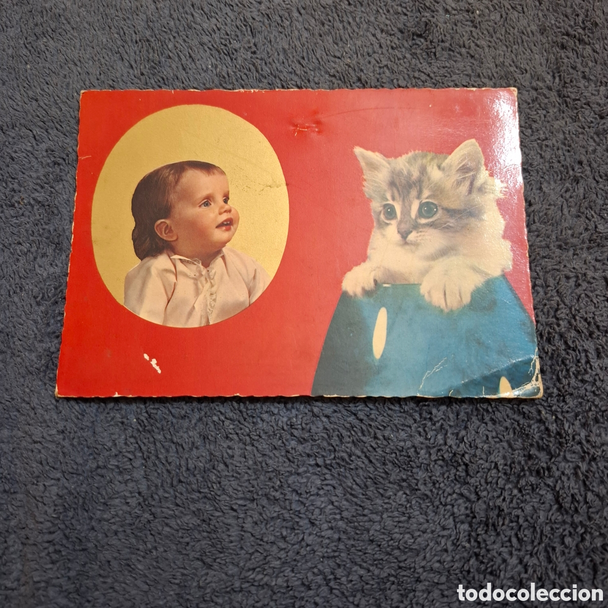 Postales: P8. Ni&ntilde;o Y Gatito, Sin Circular. - Foto 1