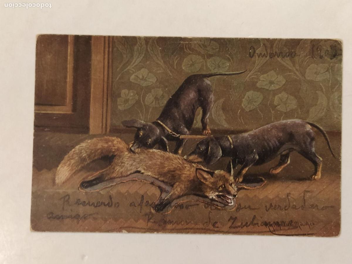 Postcards: PERROS Y ZORRO ALFOMBRA - POSTAL ANTIGUA -(115.180)