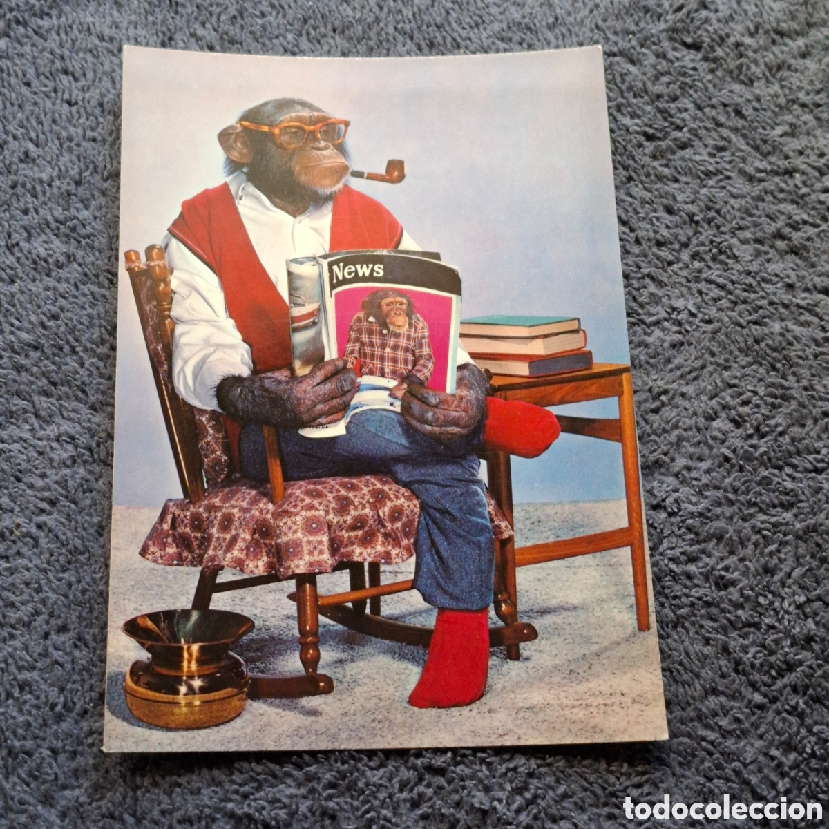 Postales: P9. Mono, Chimpanc&eacute; Humanizado, Sin Circular. - Foto 1
