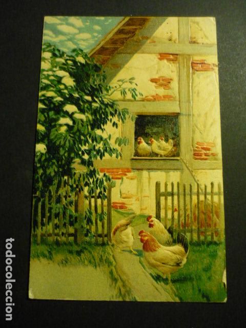 Postales: GALLINAS POSTAL CROMOLITOGRAFICA - Foto 1
