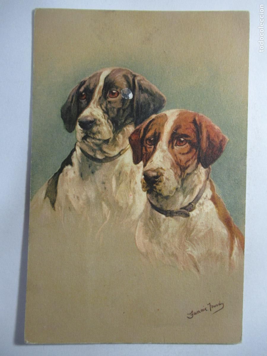 Postales: Postal perros - S/C.
