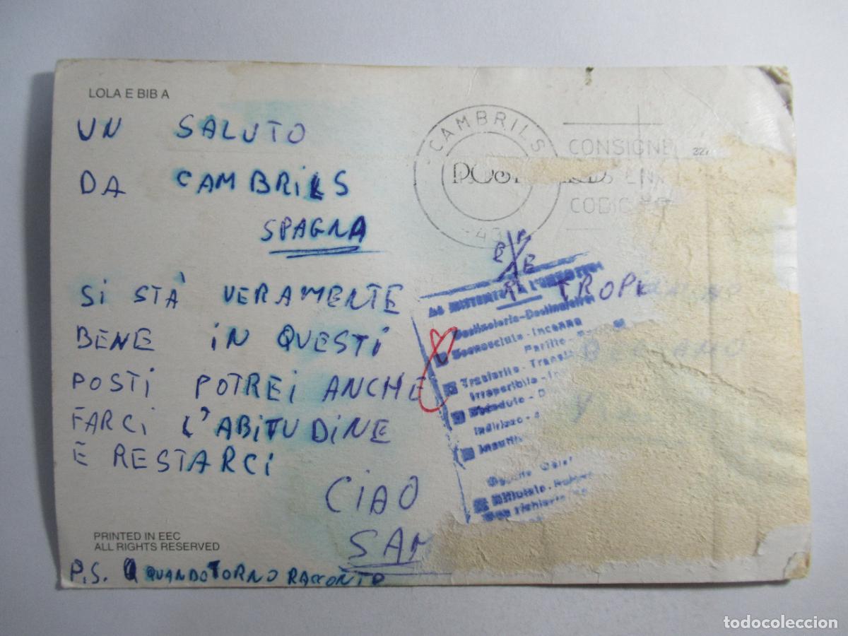Postales: Postal Perros algo deteriorada - S/C - Foto 2