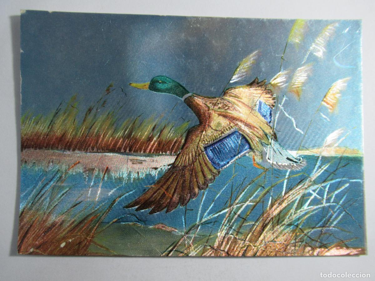 Postales: Postal brillante aves - Escrita