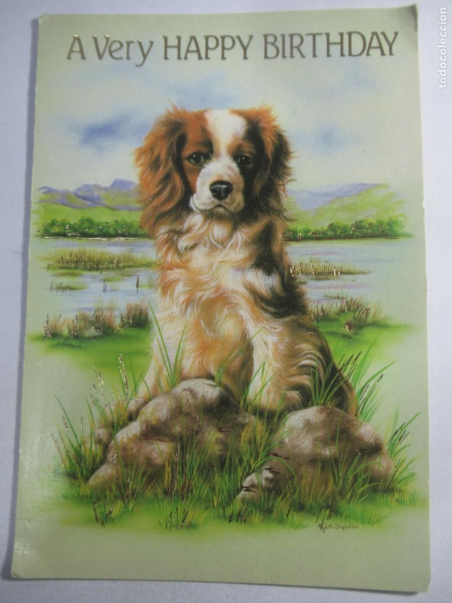 Postales: Postal Perro - 16,5 x 11,5 cm. - Escrita