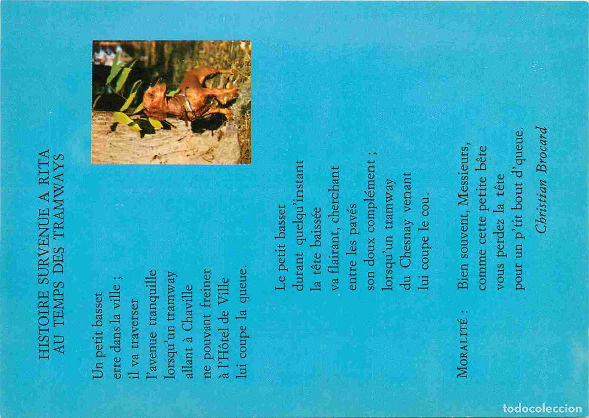 Cartoline: Carte Postale - Animaux - Chiens - Basset - Dog - CPM - Voir Scans Recto-Verso