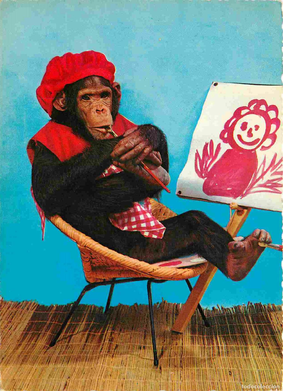 Cartes Postales: Carte Postale - Animaux - Singes - Chimpanz&eacute; - Animaux Humanis&eacute;s - Artiste peintre - Monkey - CPM -