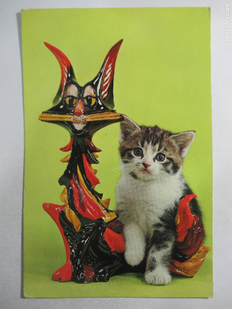 Postales: Postal Gato Gatito - Escrita