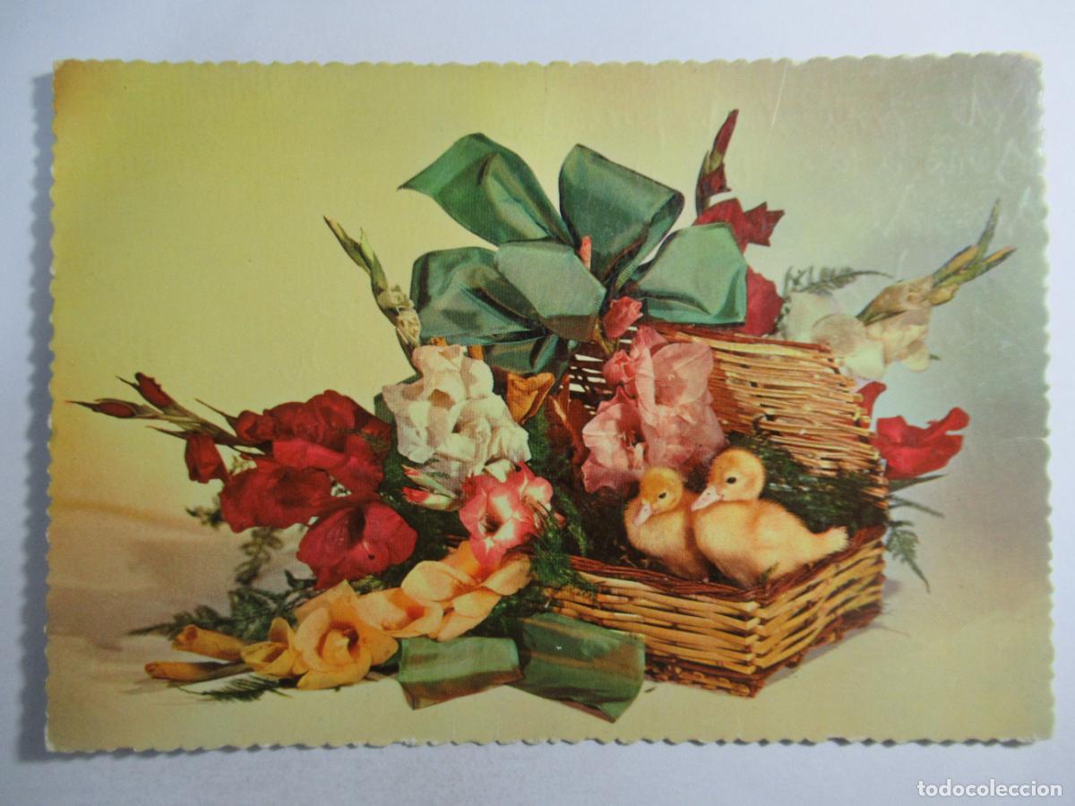 Postales: Postal Patitos - Escrita