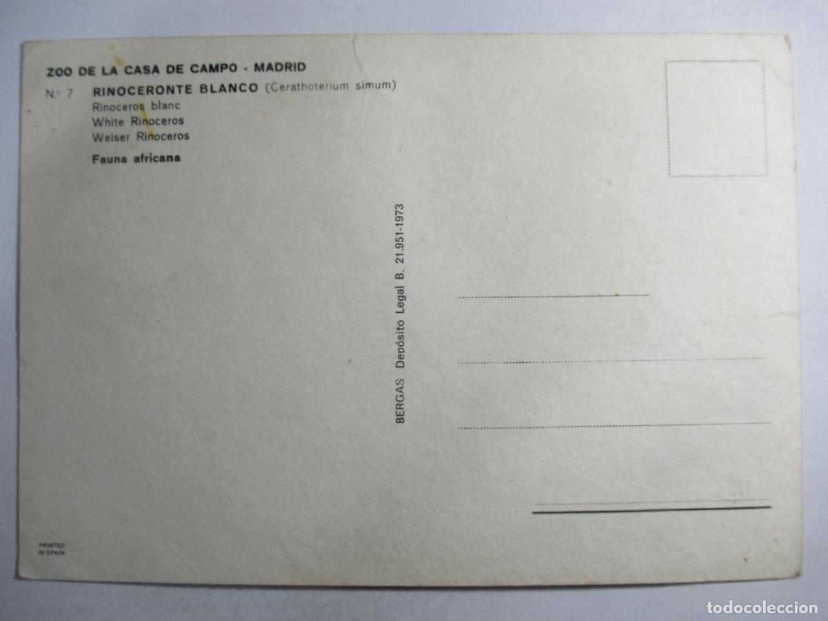 Postales: Postal Rinocerontes - S/C - Foto 2