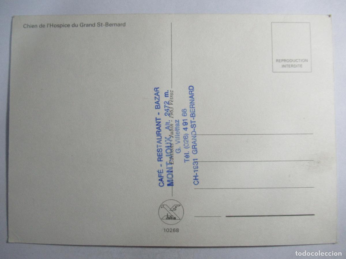 Postales: Postal Perro - S/C -- - Foto 2