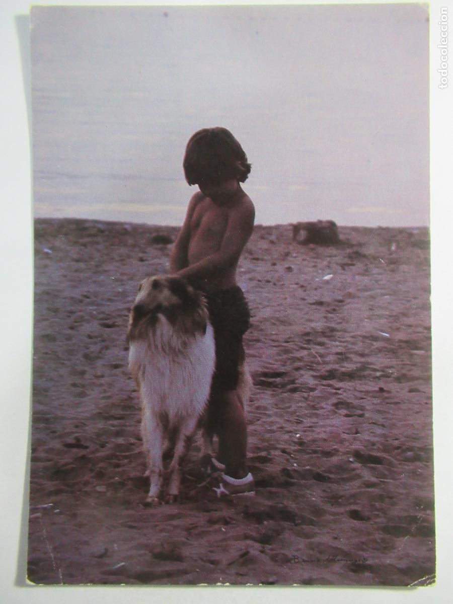 Postales: Postal Ni&ntilde;o con Perro - S/C