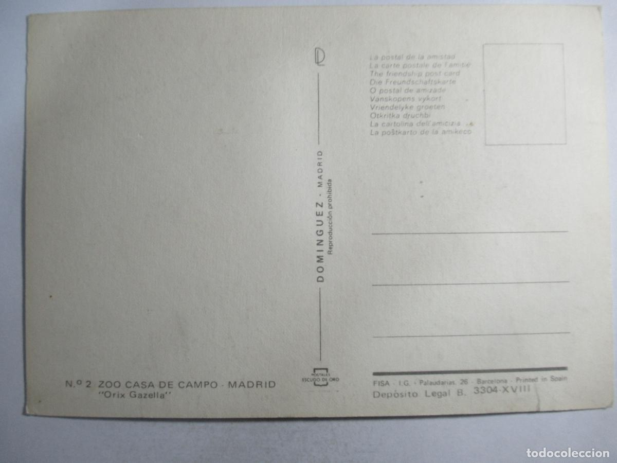 Postales: Postal Gacela - S/C. - Foto 2
