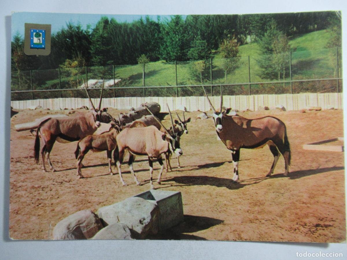 Postales: Postal Gacela - S/C. - Foto 1