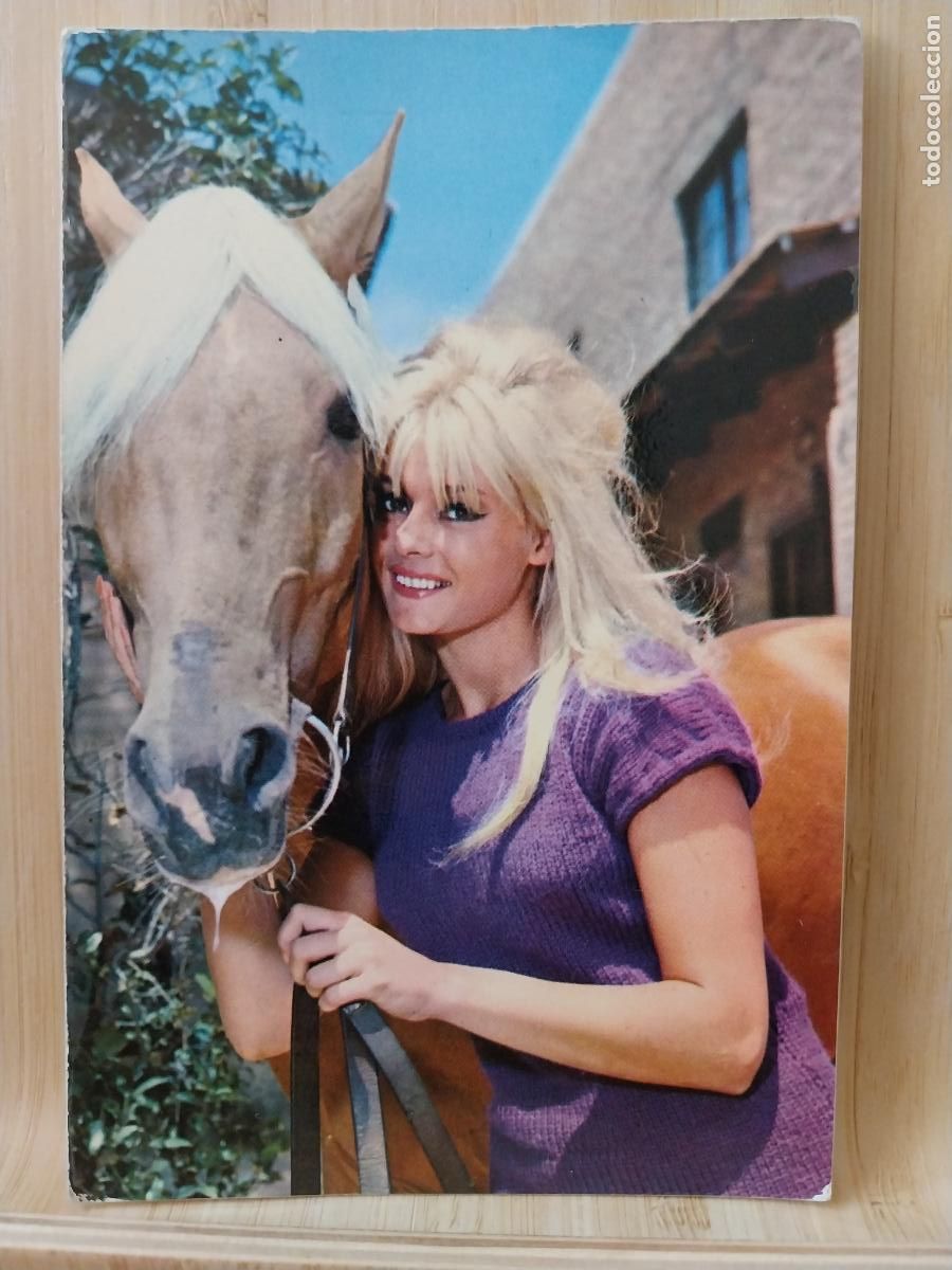 Postales: MUCHACHA CON CABALLO ED RAKER 8020/C SC ORIGINAL VINTAGE