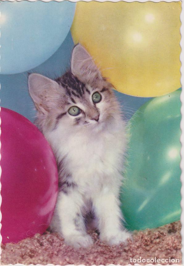 Postales: POSTAL GATO Y GLOBOS - EDITA CyZ 6318 - ESCRITA