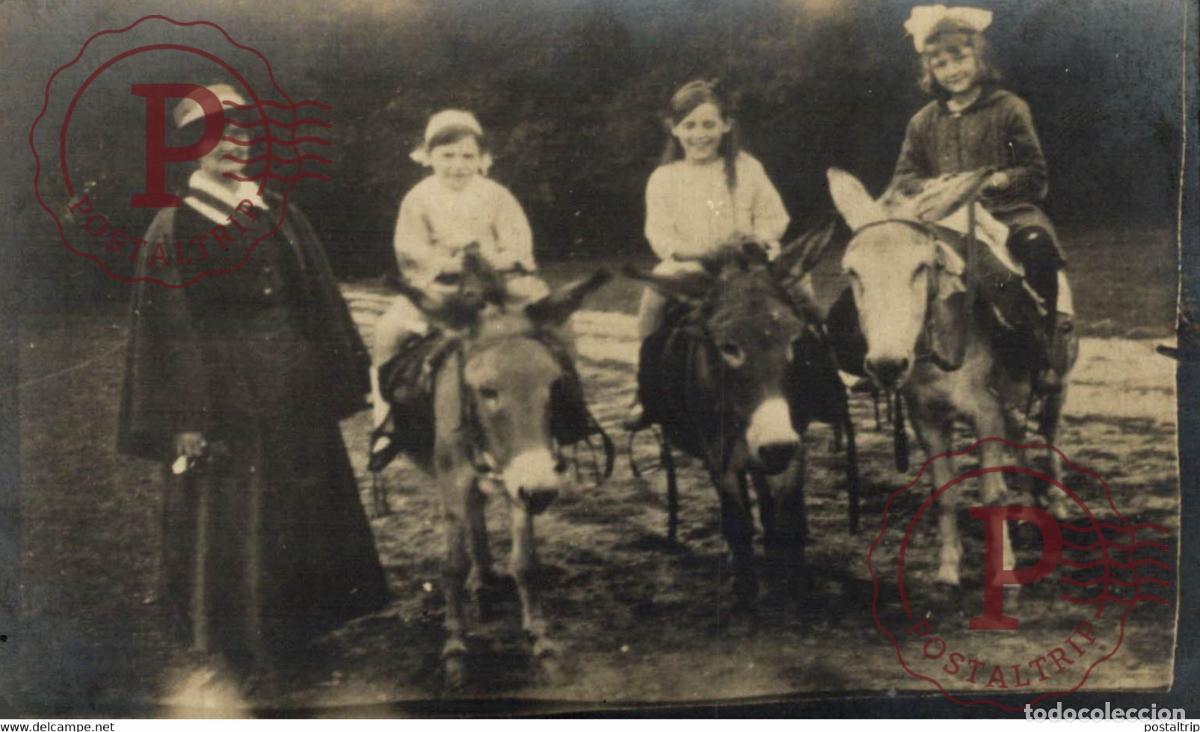 Postais: Children Riding on Donkeys Les 3 amis RPPC ANE DONKEY EZEL ESEL MULES donkeycollection