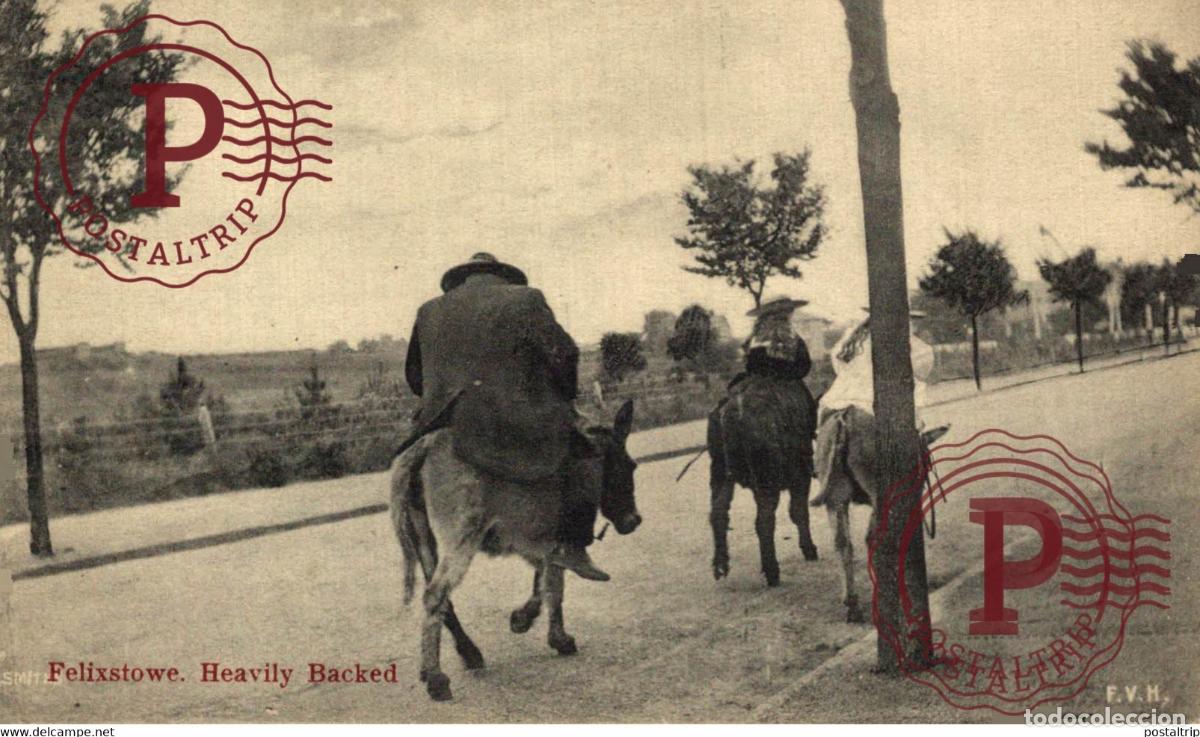 Postkarten: Suffolk FELIXSTOWE HEAVILY BACKED ANE DONKEY EZEL