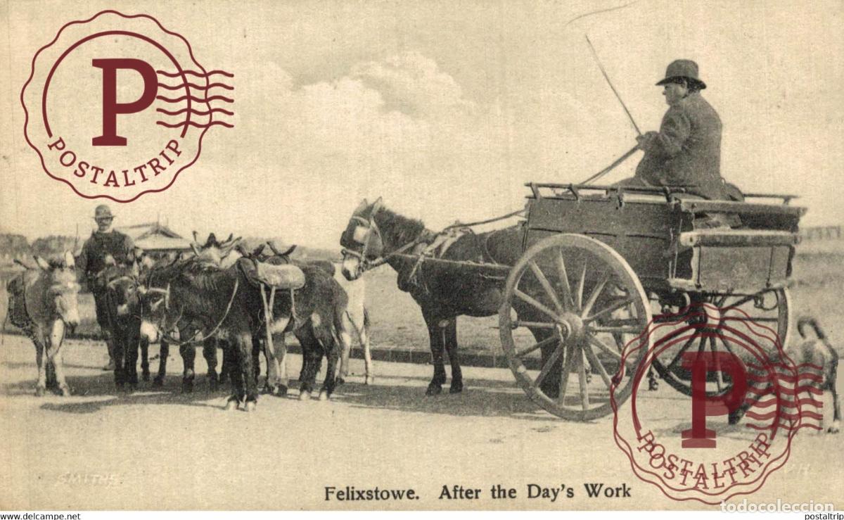 Postkarten: Suffolk Felixstowe AFTER THE DAYS WORK ANE DONKEY EZEL