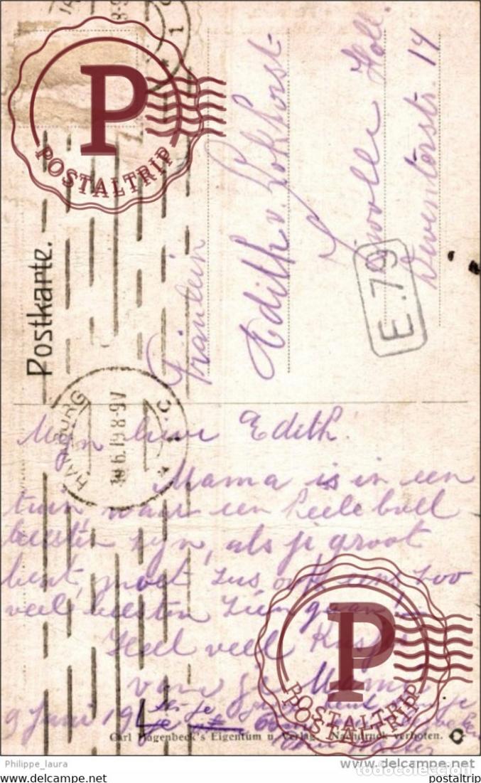 Postales: MONOS APEN MONKEYS SINGES AFFEN - Foto 2