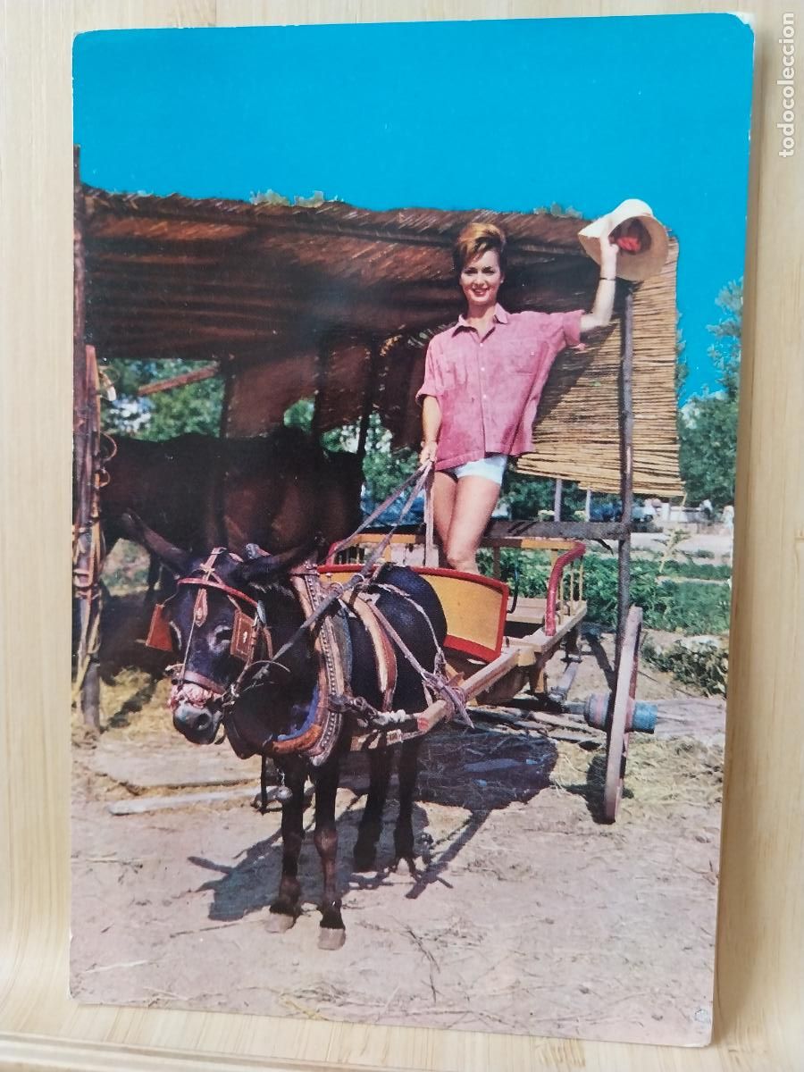 Postales: MUCHACHA CON BURRO ED LUX 611 SC ORIGINAL