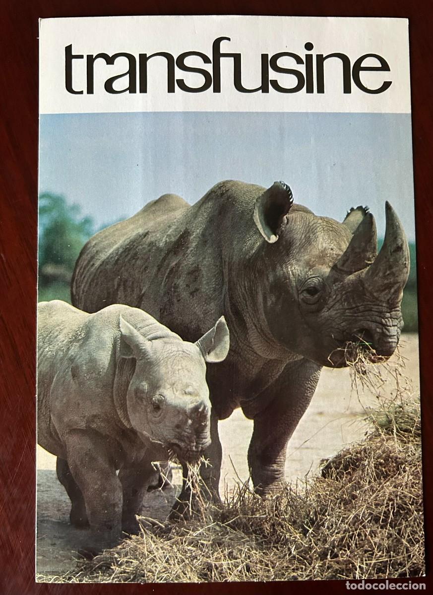 Postales: APETITO VORAZ 4 - RINOCERONTES - SI COMES MUCHO TE HAR&Aacute;S GRANDE COMO YO - TRANSFUSINE 1977