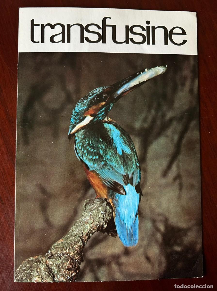 Postales: APETITO VORAZ 5 - MART&Iacute;N PESCADOR - AHORA C&Oacute;MO ME LO TRAGO - TRANSFUSINE 1977