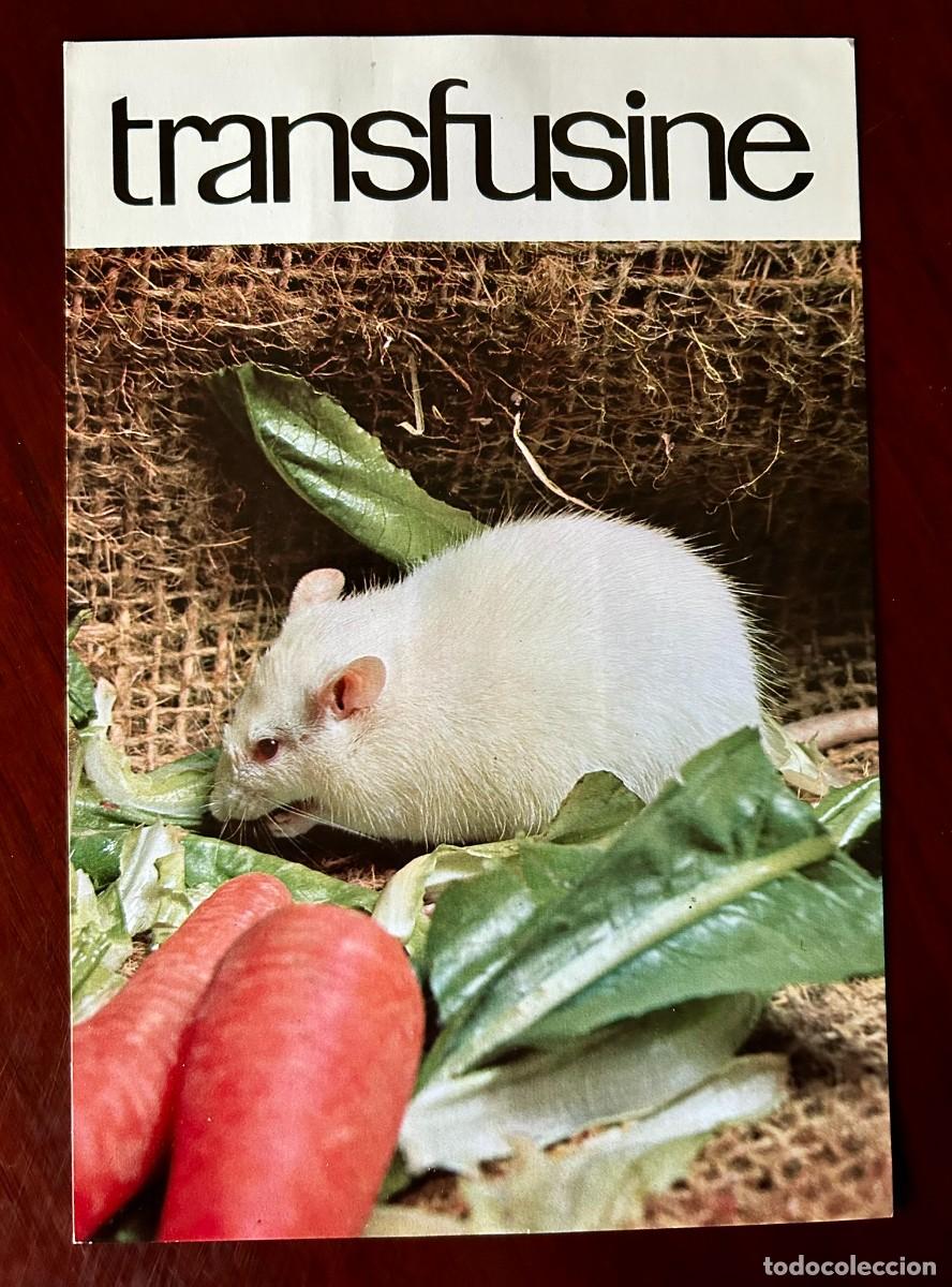 Postales: APETITO VORAZ 6 - RATA ALBINA - HOY HA SIDO UN D&Iacute;A DE SUERTE - TRANSFUSINE 1977