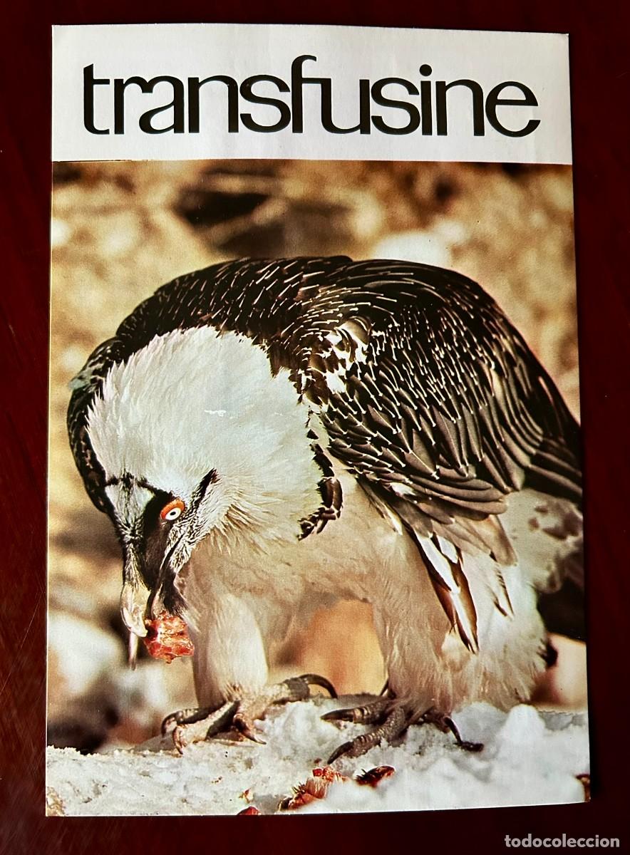 Postales: APETITO VORAZ 7 - QUEBRANTAHUESOS - QU&Eacute; RICOS - GYPAETUS BARBATUS - TRANSFUSINE 1977