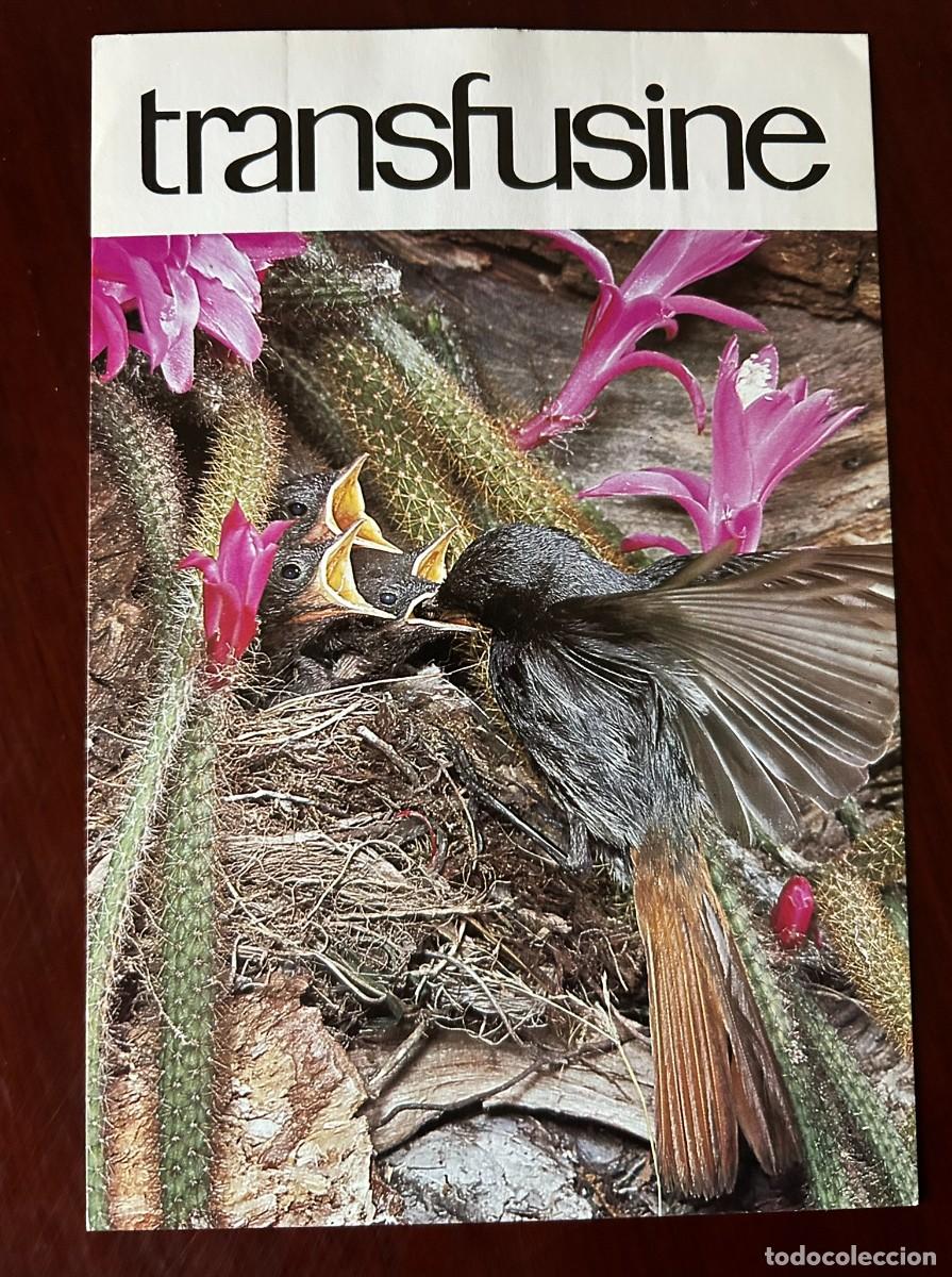 Postales: APETITO VORAZ 11 - COLIRROJO TIZ&Oacute;N - YO TAMBI&Eacute;N QUIERO - TRANSFUSINE 1977