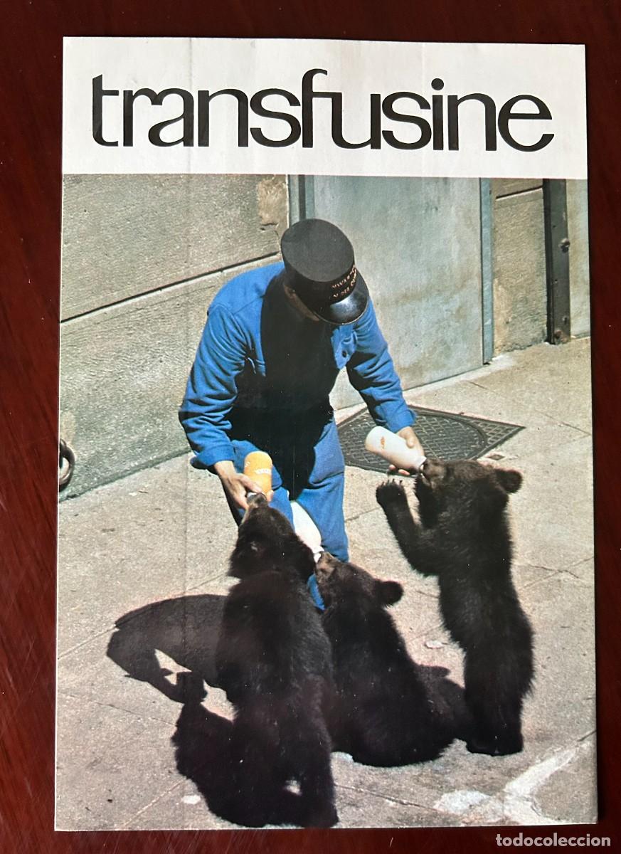 Postales: APETITO VORAZ 12 - CACHORROS DE OSO - CUIDADOR DEL ZOO - NO ES COMO MAM&Aacute; ... - TRANSFUSINE 1977