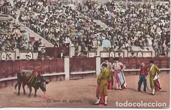 Postales: TOROS TOREROS TORO EN AGONIA SIN ESCRIBIR