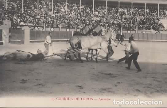 Postales: TOROS TOREROS ARRASTRE SIN ESCRBIR