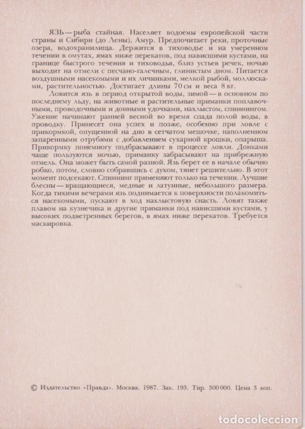Postales: PEZ EL IDE &ndash; EDITORIAL PRAVDA MOSCOU 1987 - Foto 2