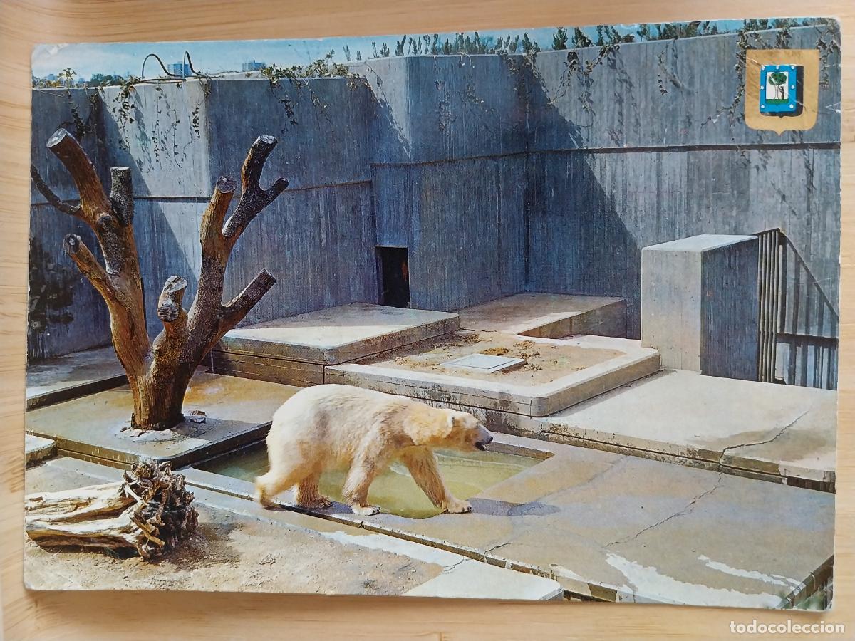 Postales: PARQUE ZOOLOGICO RETIRO ED FISA 188 ESCRITA A&Ntilde;O 1988 OSO POLAR