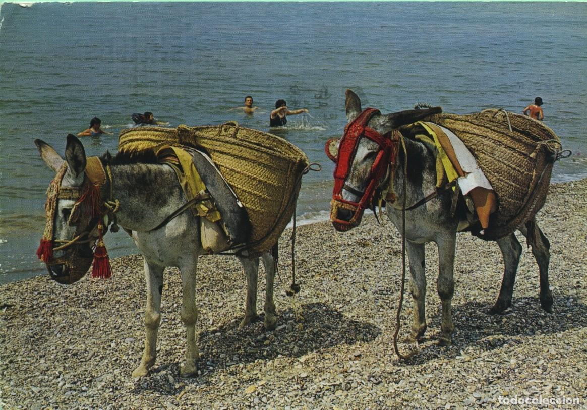 Postales: N&ordm; 2-Borricos t&iacute;picos. ED. GARC&Iacute;A GARRABELLA Y C&Iacute;A.