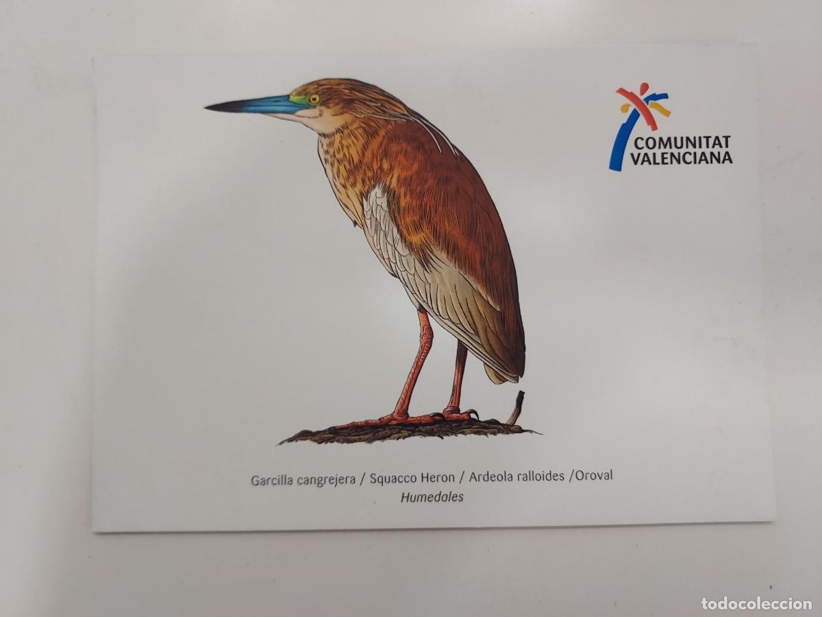 Postales: POSTAL AVE. GARCILLA CANGREJERA. ILUSTRACION LLUIS SOGORB. VALENCIA REGION BIRDING. SIN CIRCULAR