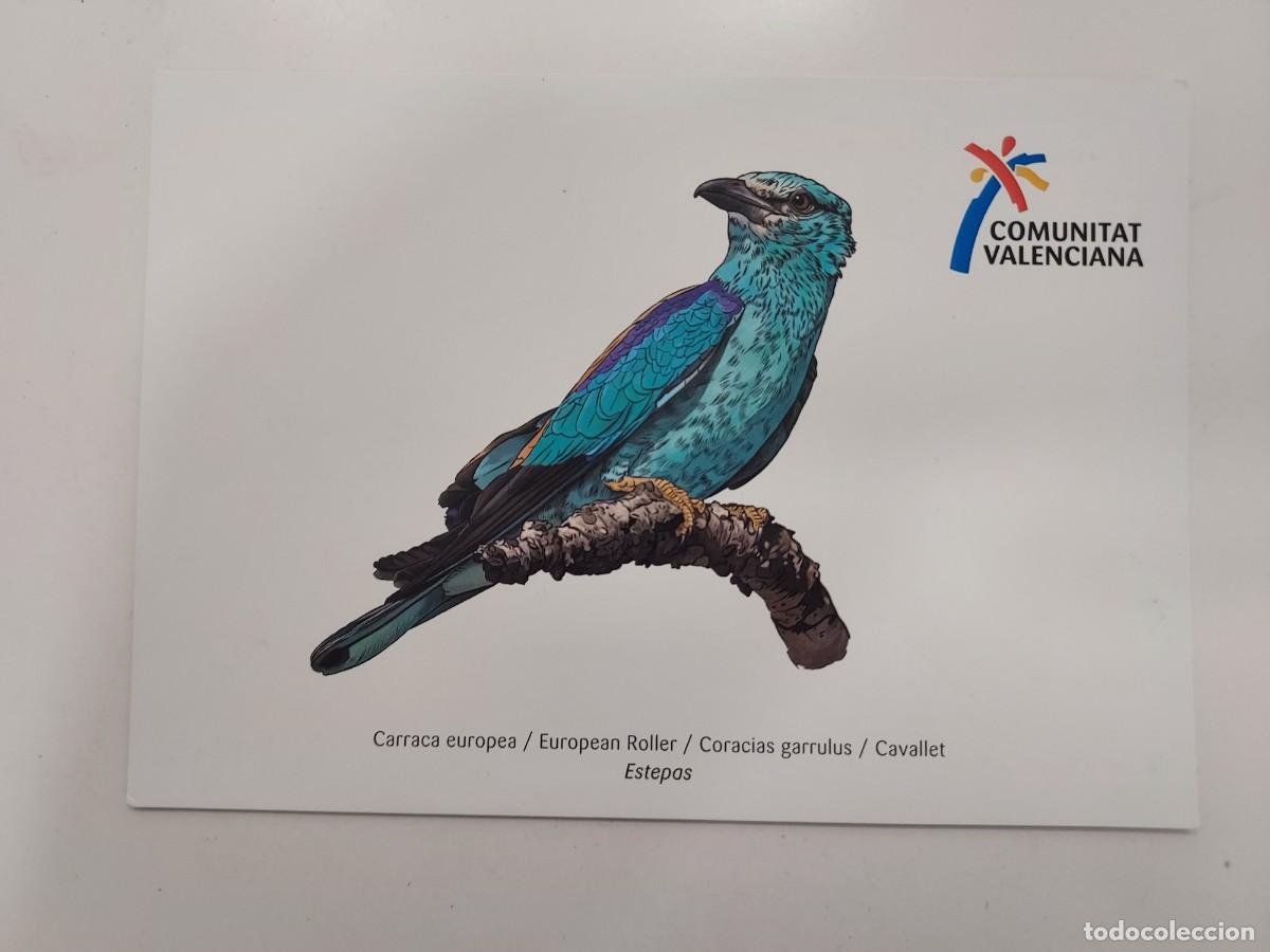 Postales: POSTAL AVE. CARRACA EUROPEA. ILUSTRACION LLUIS SOGORB. VALENCIA REGION BIRDING. SIN CIRCULAR